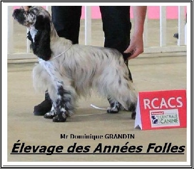 des années folles
